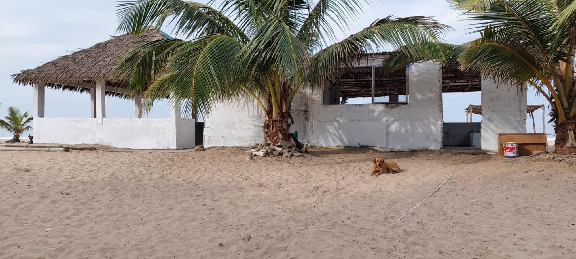 Mangrove Beach Sanyang エクステリア 写真