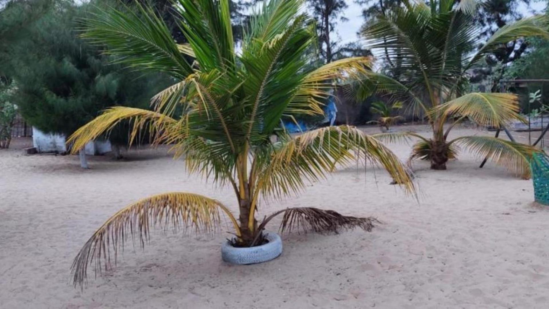 Mangrove Beach Sanyang エクステリア 写真